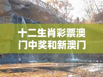 十二生肖彩票澳门中奖和新澳门今晚开一肖预测-常见释义、专家解读解释与落实​,规避不实的声明