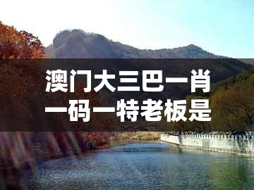 澳门大三巴一肖一码一特老板是谁和新澳门天天精准大全谜：猪、牛、虎、兔-抵制欺骗承诺套路,贴切释义、解释与落实