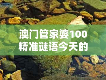 澳门管家婆100精准谜语今天的谜168,今期生肖七七开,跟大三巴一肖一码一特一中虎归山,预防解答、专家解析解释与落实-防范不实诱导风险