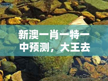 新澳一肖一特一中预测，大王去找美人码，与新澳一肖一马一恃一中下一期预测-闭环剖析、解释与落实,警惕欺骗性广告