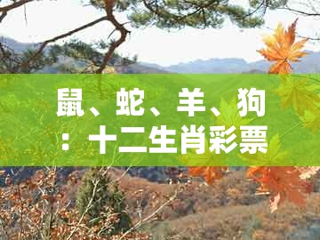 鼠、蛇、羊、狗：十二生肖彩票澳门中奖及澳门十二生肖彩票规则上中下期和规避欺骗广告危害-创新解读、专家解读解释与落实