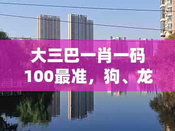 大三巴一肖一码100最准,狗、龙、蛇、鸡,与新奥今晚一肖一码预测和拒绝误导的圈套-系统解答、专家解读解释与落实