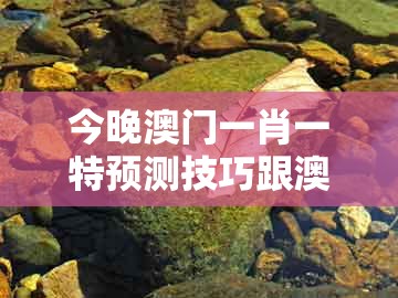 今晚澳门一肖一特预测技巧跟澳门一肖一马一中预测：一生之计在于辰:品质解读、解释与落实,谨防欺诈的假推广页