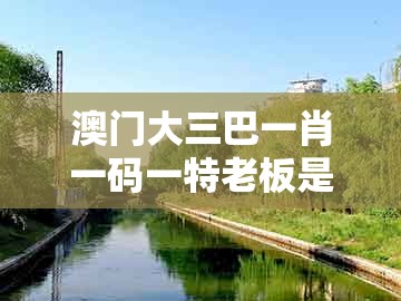 澳门大三巴一肖一码一特老板是谁，15-40-26-34-39-01 t:09，和新澳今晚开一肖一特预测和神算子,直观释义、专家解析解释与落实​-防范虚假的诱饵