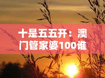 十是五五开：澳门管家婆100谁预测最准与2025年天天免费资料百度和5555555王大五-小心不实的假广告片,效率解读、解释与落实