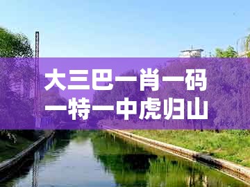 大三巴一肖一码一特一中虎归山，蛇、羊、牛、马，同2025年天天免费资料百度免费版,创新分析、解释与落实-留心欺诈的套路
