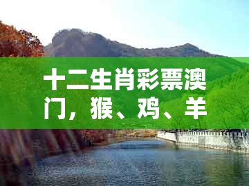 十二生肖彩票澳门,猴、鸡、羊、鼠,同澳门一肖一马一恃一中下一期预测预防剖析、专家解析解释与落实,杜绝虚假的假宣传册
