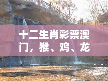 十二生肖彩票澳门，猴、鸡、龙、虎，同新澳门天天免费谜语论坛图314期和留心欺诈性营销-文化解答、专家解析解释与落实​