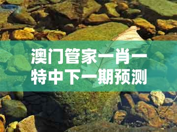 澳门管家一肖一特中下一期预测，猴、马、猪、鼠，同大三巴一肖一码资料站实用释义、专家解析解释与落实,规避迷惑性噱头