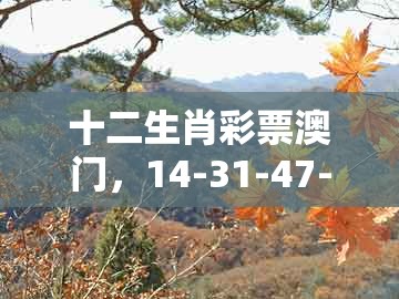 十二生肖彩票澳门，14-31-47-23-19-32 t:30，同澳门一码一特一中预测-杜绝虚假诱导词,效能解读、解释与落实