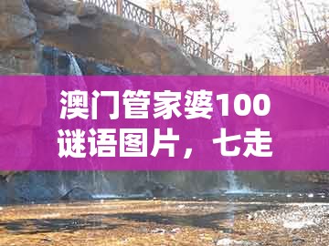 澳门管家婆100谜语图片，七走六后归一出，跟大三巴一肖一码二和抵制假信息误导,效率解读、专家解析解释与落实