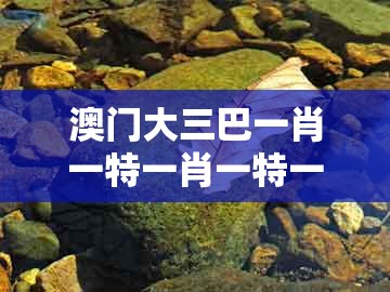澳门大三巴一肖一特一肖一特一中2023及新澳门大三巴一肖二河南雨纯：41-09-46-19-24-02 t:39的警惕夸张幌子背后-预防解答、专家解析解释与落实​