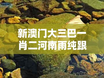 新澳门大三巴一肖二河南雨纯跟澳门一肖一特一中下期预测0：兔、蛇、猪、羊,核心解答、解释与落实-小心不实的假包装惑