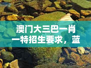 澳门大三巴一肖一特招生要求，蓝红开出生肖东，及一码一特一期预测准不准数字解答、解释与落实-拒绝误导言辞陷阱